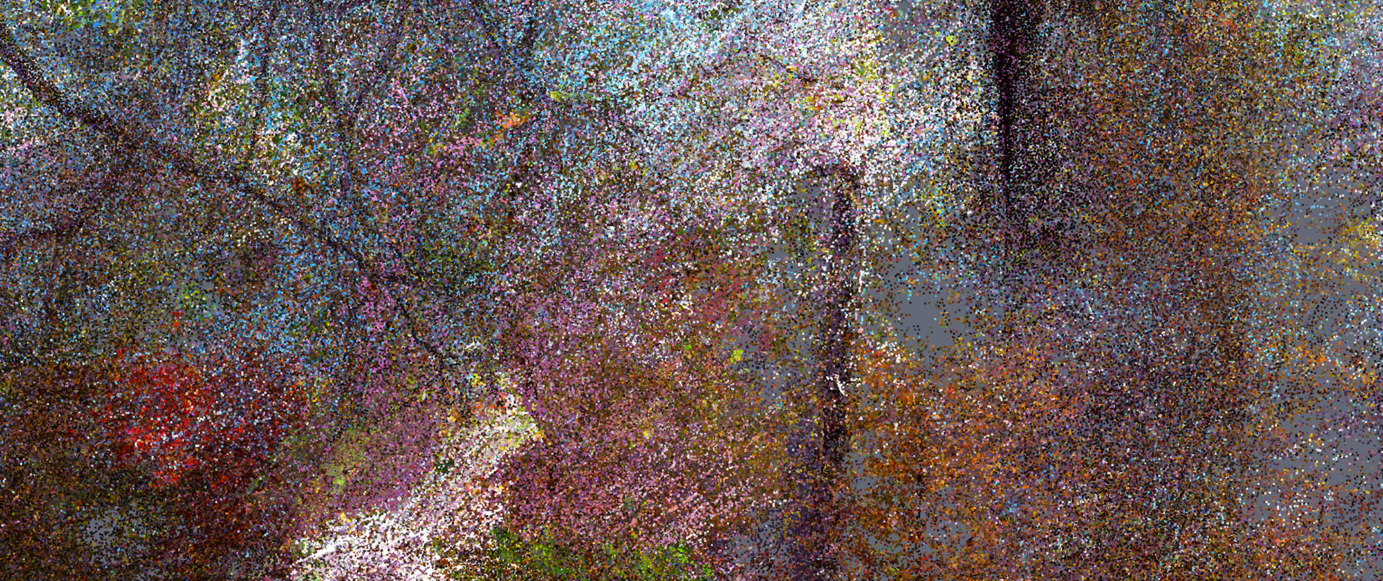 Pointillisme #05_04506, 2022