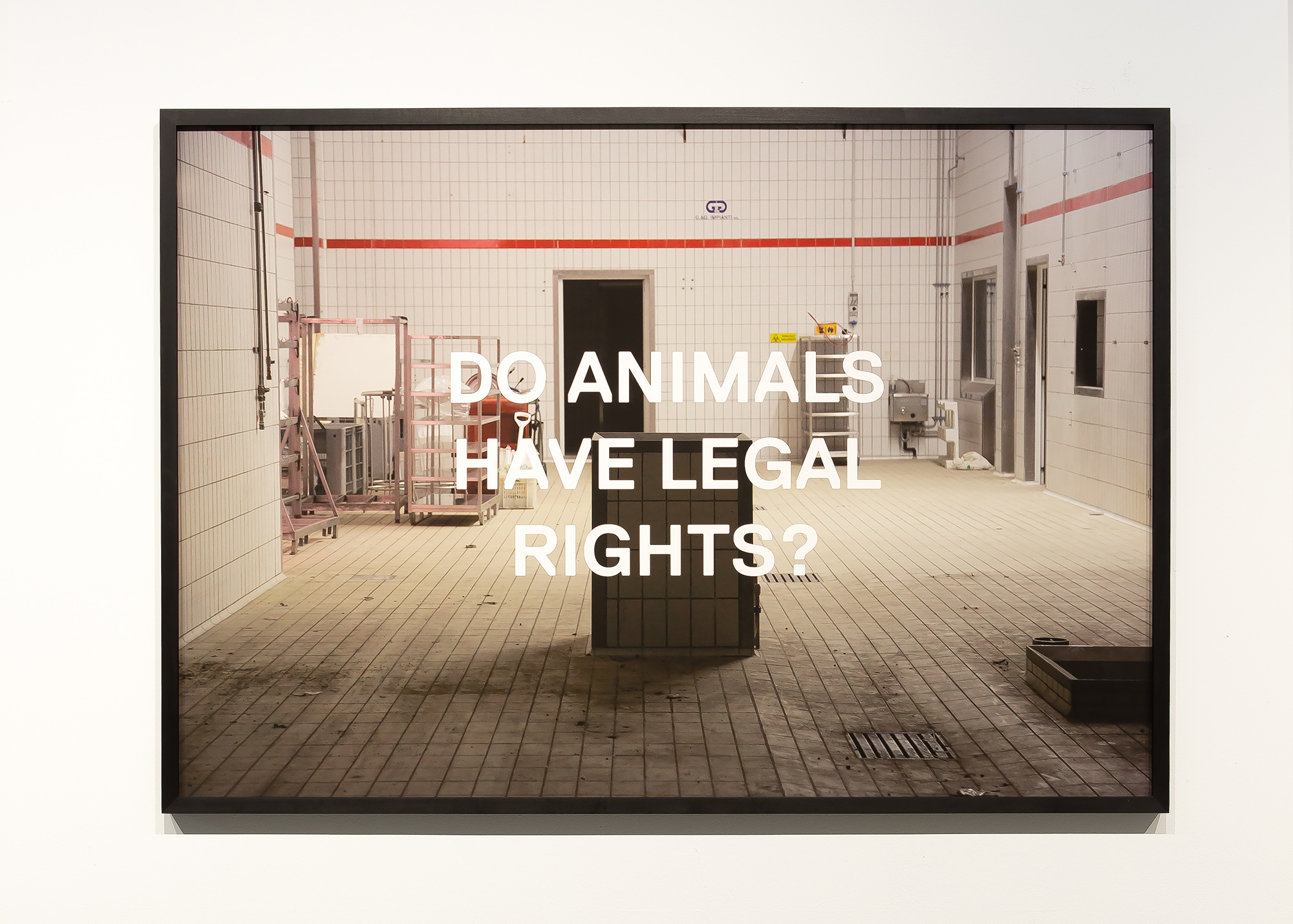 Do Animals…? #1, 2017