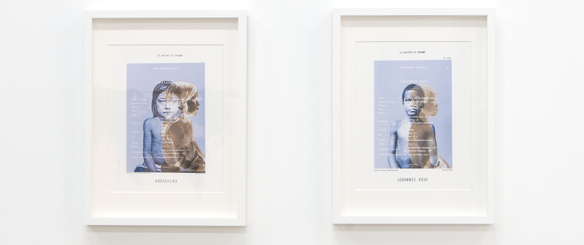 Amsterdam 1883, 2023